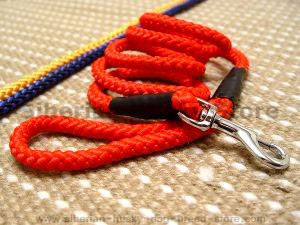 Cord nylon dog leash